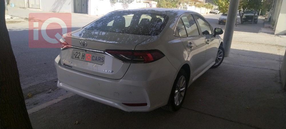 تويوتا كورولا